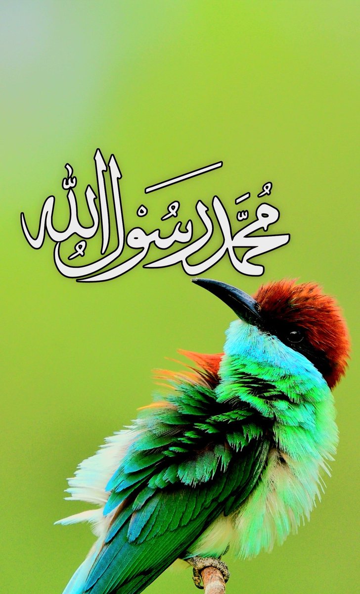 🥀 *رسول الله ﷺ فرمایي:* 🥀

د جنت د ونو سیوری به دومره پراخ وي چې یو (په آس) سپور شخص به د یوې ونې لاندې سل کاله مزل کوي.
(رواه البخاري)

ربه! د جنت له نعمتونو مو بې برخې مۀکړې