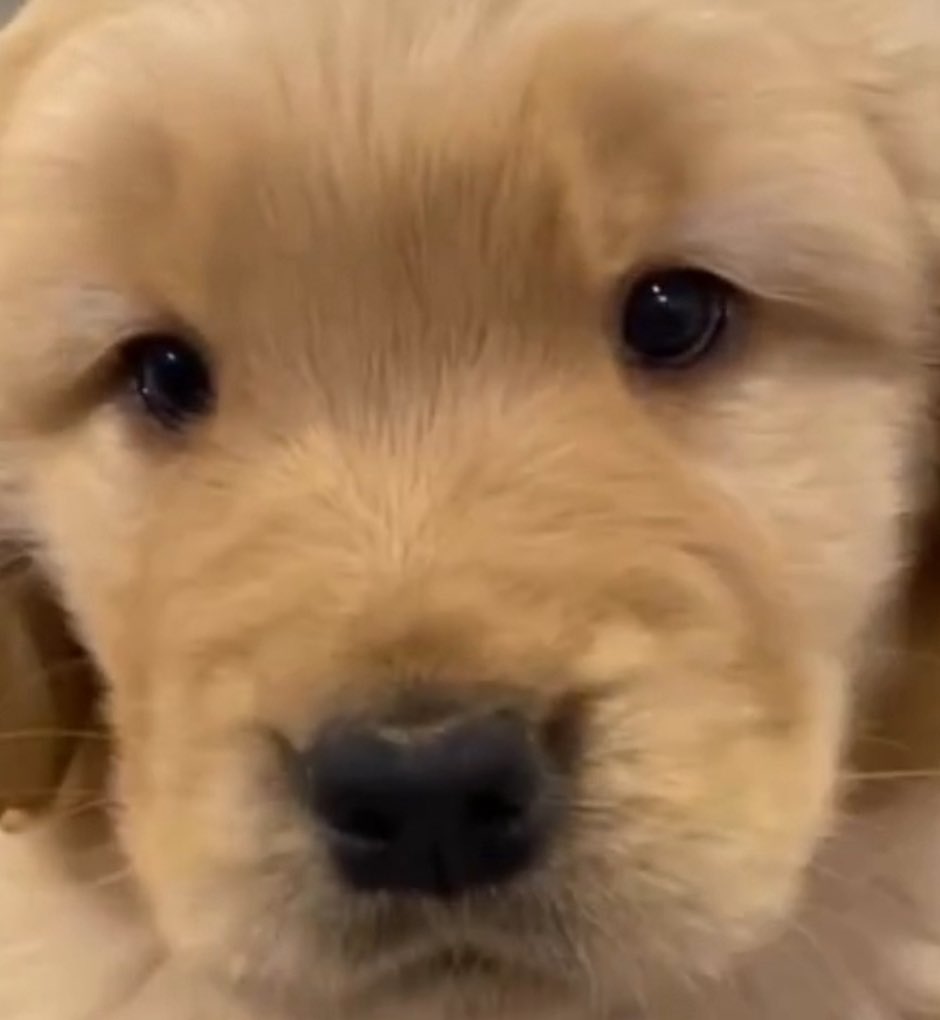 โปปิโปโปปิโปโปปิโปโปปิโปโปปิโปโปปิโปโปปิโปโปปิโปโปปิโปโปปิโปโปปิโปโปปิโปโปปิโปโปปิโปโปปิโปโปปิโป