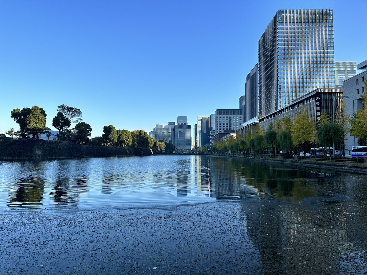 FUJIOMIYACHI's tweet photo. 今朝の皇居も空気が澄んで、
走るには最高のコンディション。
当たり前のように20km走れるように
なったね、今日もナイスラン😁
@NarumiTakahash4
#ランニング #fujioproject #ごきげん https://t.co/Xg5rp4vAMh