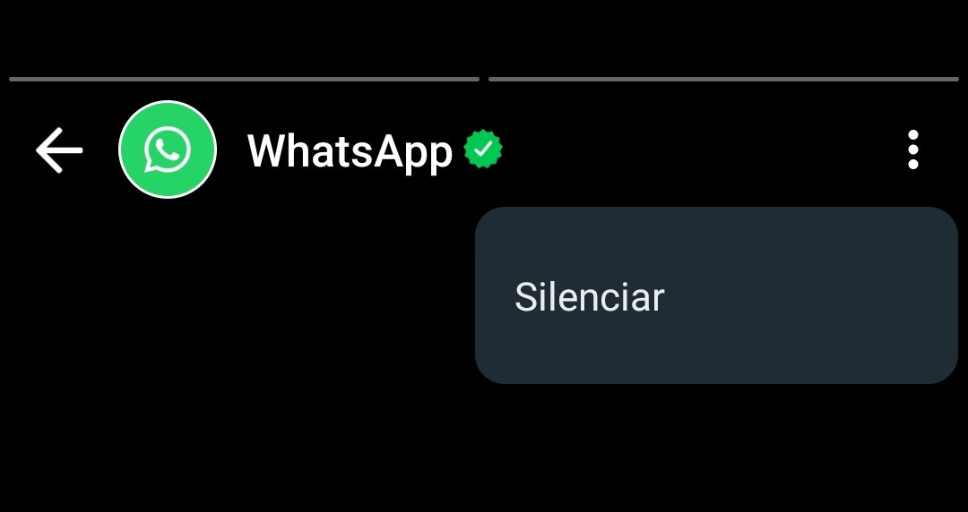 Yo silenciando a un tal Whatsapp porque me caen mal sus estados.