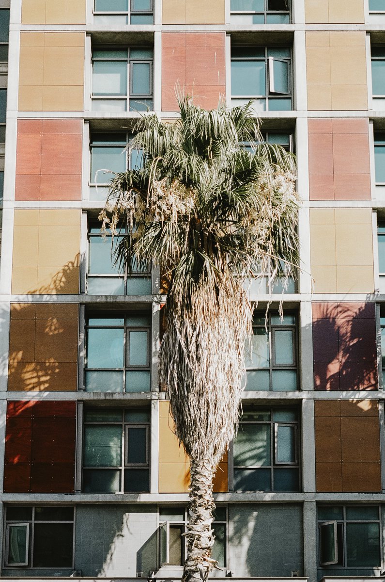 AD_Murgatroyd's tweet image. The art of noticing  

#35mm #analogcommunity #portra160