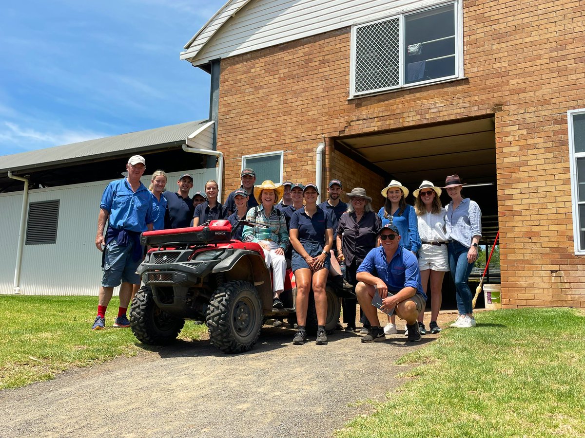 GaiWaterhouse1's tweet photo. Wonderful morning inspecting @SledmereStud &amp; @yarramanpark @mmsnippets yearlings. 

Two top quality drafts (as always) heading to the Gold Coast in January ☀️ https://t.co/7whqNYcruy