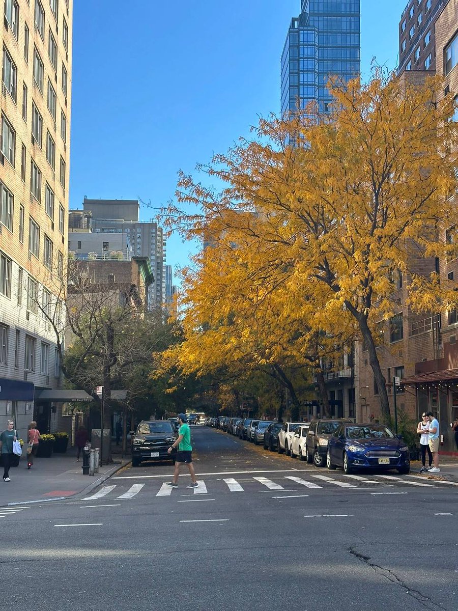 girlraper231's tweet photo. Although the autumn in Manhattan, New York is also very beautiful, I still like the autumn in my hometown https://t.co/3HXDr0l25J