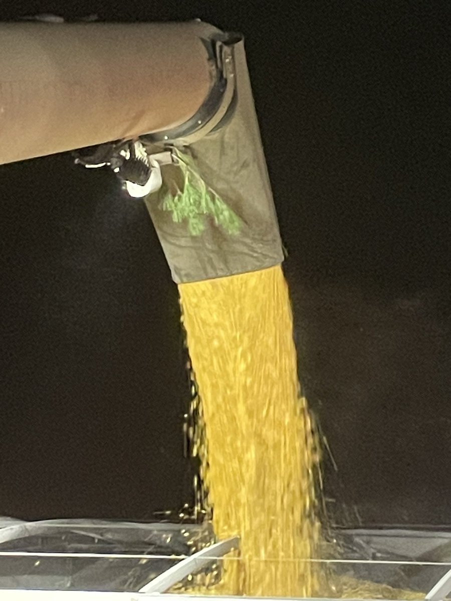 Dennis Driedger tweet media