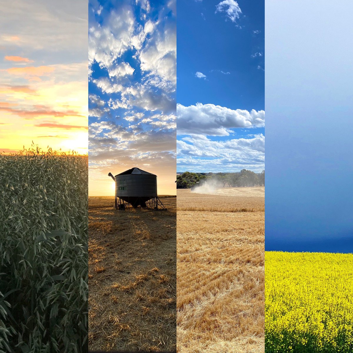 Stretch Enterprises are still on the hunt for a cropping employee. High rainfall zone cropping on a mixed farm. Drop me a DM if you’d like more info. 
We’d love to hear from you!🌾🚜