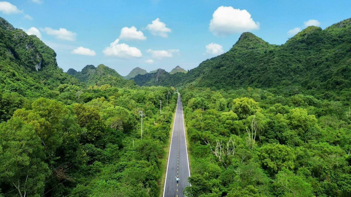 catbaexpress's tweet photo. Cat Ba National Park is a destination not to be missed. Cat Ba National Park is recognized by UNESCO as a biosphere reserve with 3,860 species of flora and fauna.
Read more: https://t.co/Q3ZfylvDSa
#catbaisland #catbanationalpark #UNESCO #TravelTheWorld #photography #catbaexpress https://t.co/wy8o5oZcAL
