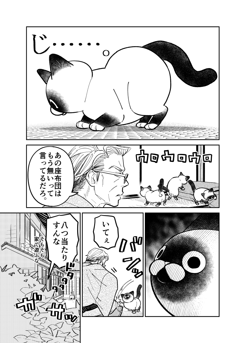 野良猫が自分にそっくりな座布と対峙する話。

(1/4)

#漫画が読めるハッシュタグ 