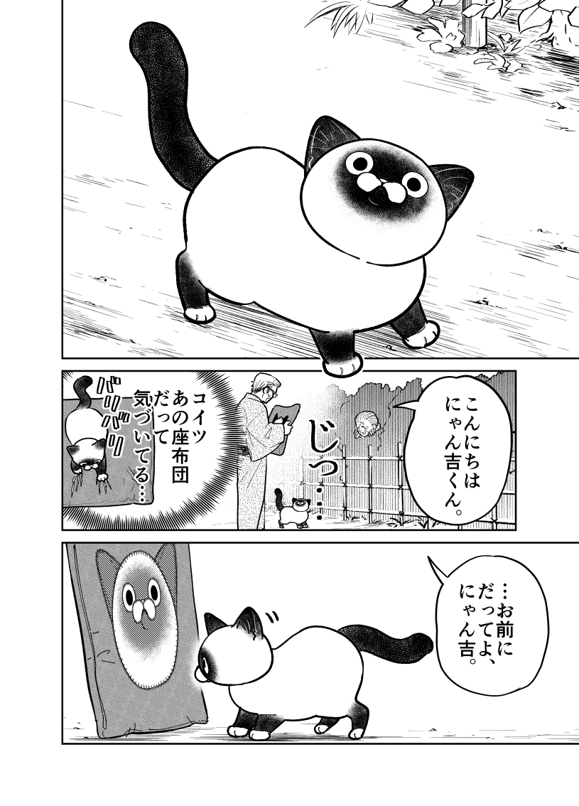 野良猫が自分にそっくりな座布と対峙する話。

(2/4)

#漫画が読めるハッシュタグ 