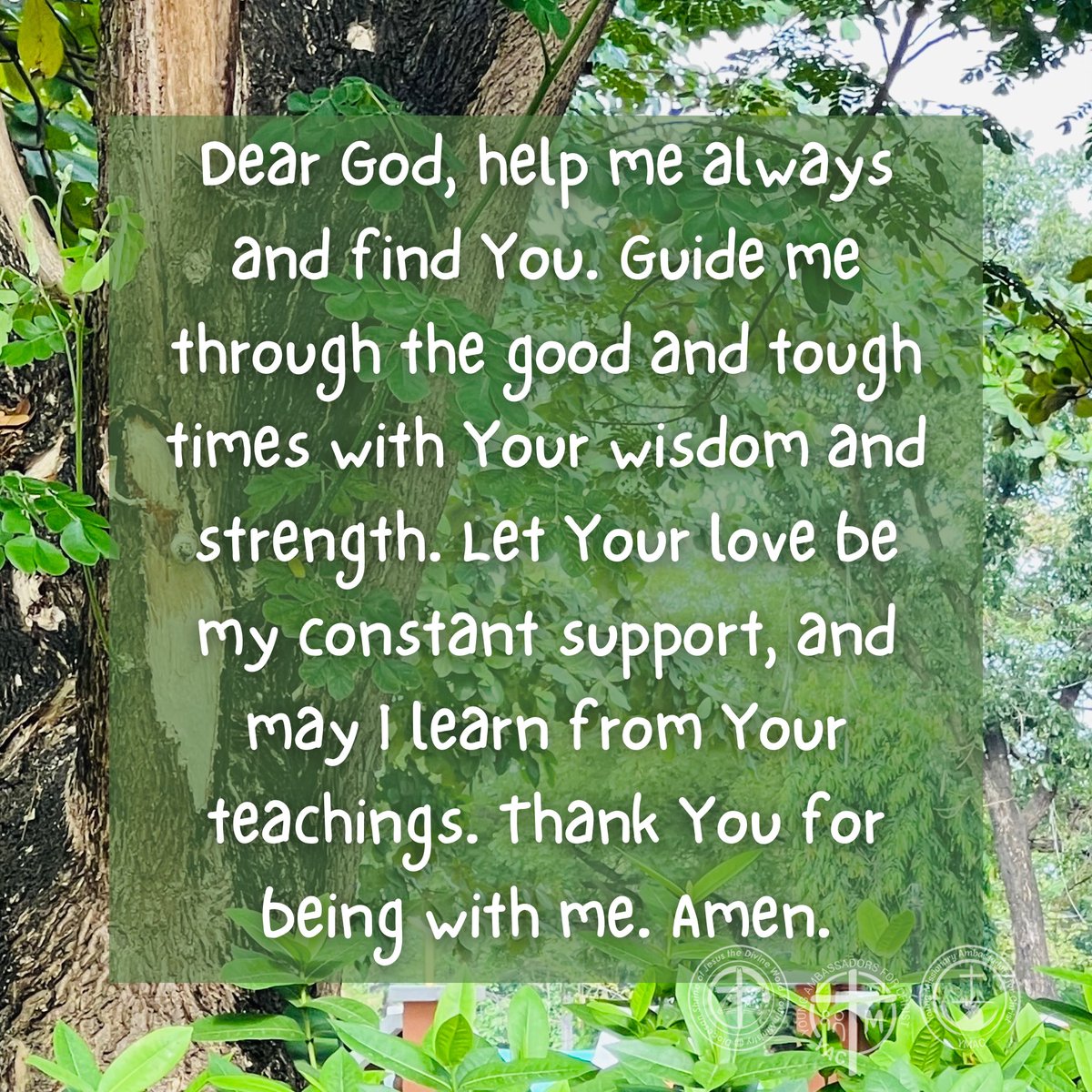 Let Your love be my constant support, and may I learn from Your teachings. Thank You for being with me. Amen.

#SeekingGod #GuidanceInFaith #StrengthInChallenges #DivineLove #WisdomFromAbove #GratefulHeart

***

#YAC #YMAC #SYM #SVDyouth 
#SHRINEyouthMinistry #ShrineYouth