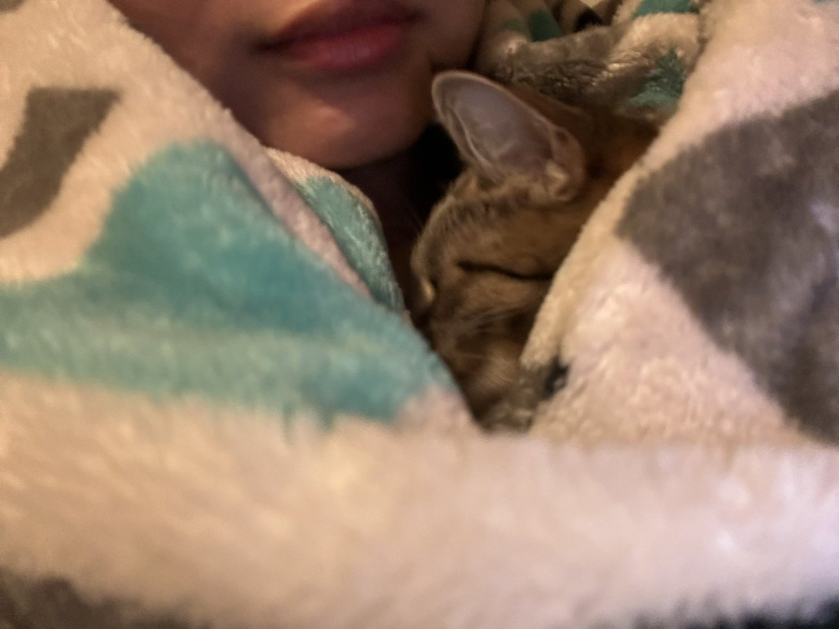 small break to show my cat who likes to pretend she hates my hugs but cuddles closer