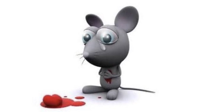 mitsuoxp's tweet photo. yo cuando no entiendo matemáticas y el resto si https://t.co/BX5XcC9hNt