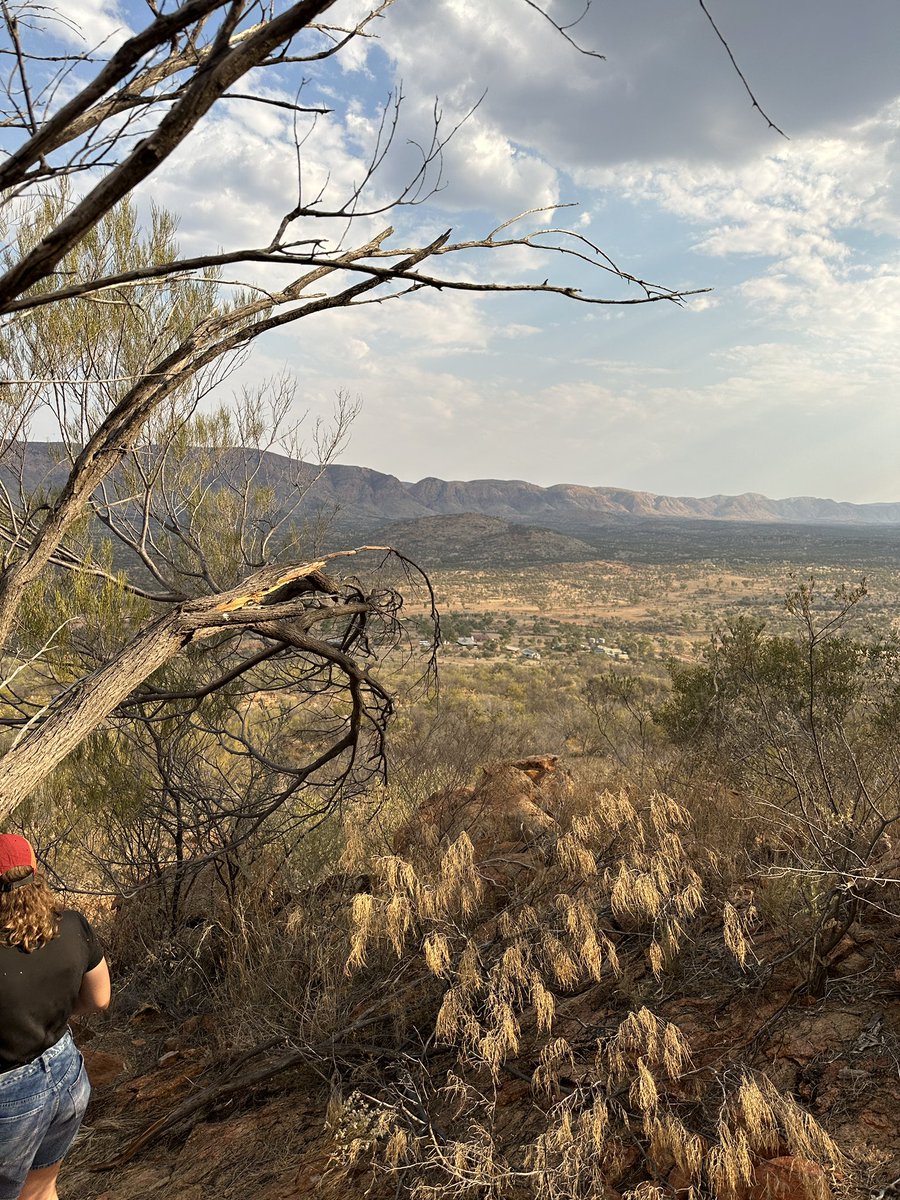 went for a bit of a walkabout