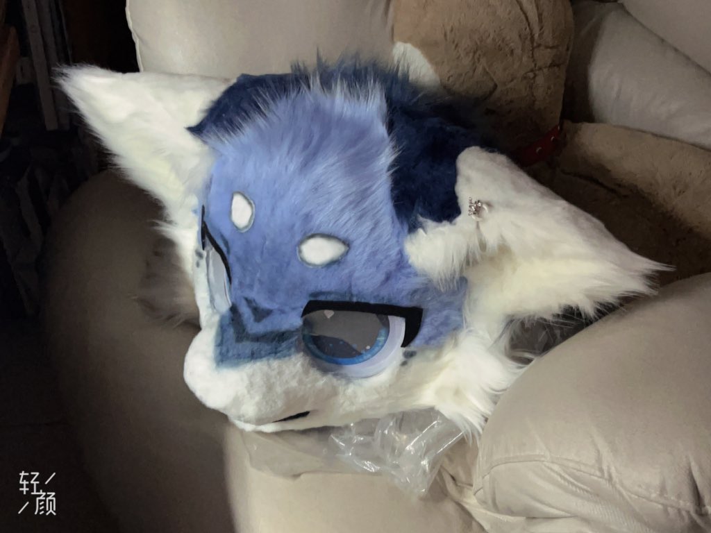Yvette_yiweite's tweet photo. Spot sale
 including head and paw 
maker is mine
ji#fursuit #fursuitcommission #fursuit #fursuitpartial #furryfandom https://t.co/exJyGa2VwT