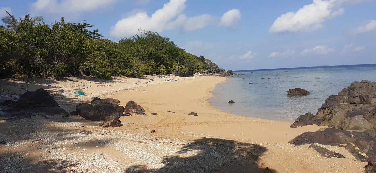 ELNAshop's tweet image. #タイマイサポーター
の皆さまのおかげで今年度のタイマイ保全活動を継続できています！温かいサポートにいつも感謝です🐢☺️🙏syncable.biz/campaign/2753/… #Syncable #寄付ポートフォリオ