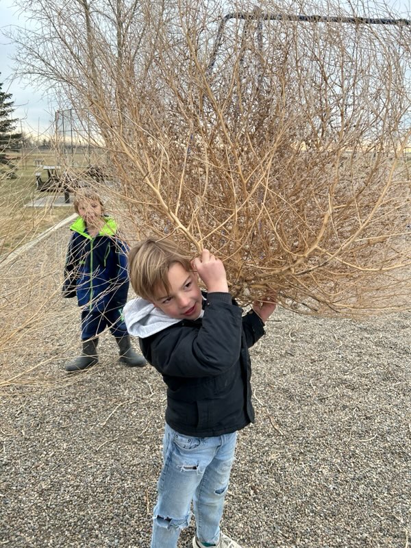 Sunnyside_rocks's tweet photo. You know you're at Sunnyside when the teachers are saving tumbleweeds in the storage shed! #sunnysiderocks #windydays https://t.co/XkFLX5ckXu