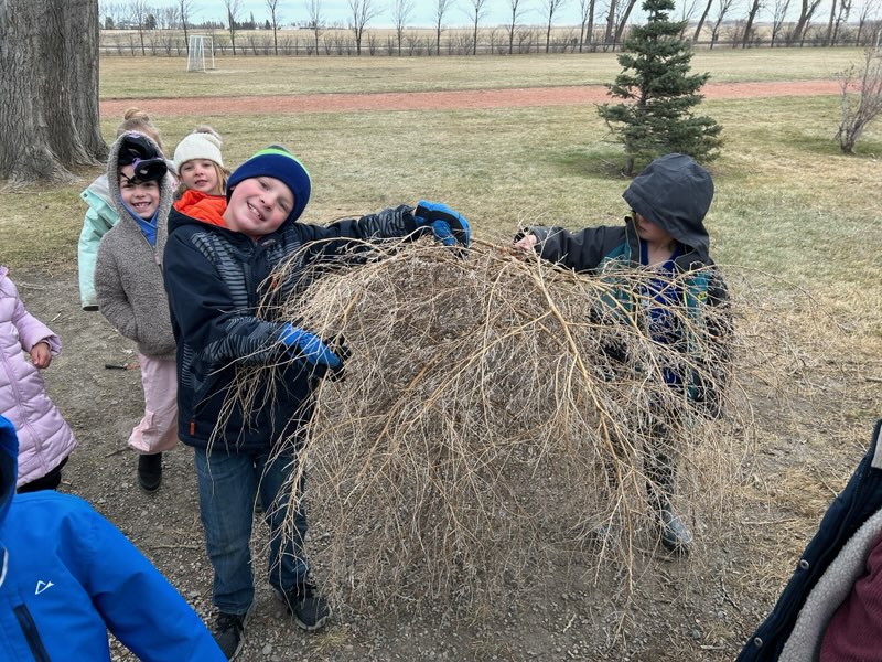 Sunnyside_rocks's tweet photo. You know you're at Sunnyside when the teachers are saving tumbleweeds in the storage shed! #sunnysiderocks #windydays https://t.co/XkFLX5ckXu