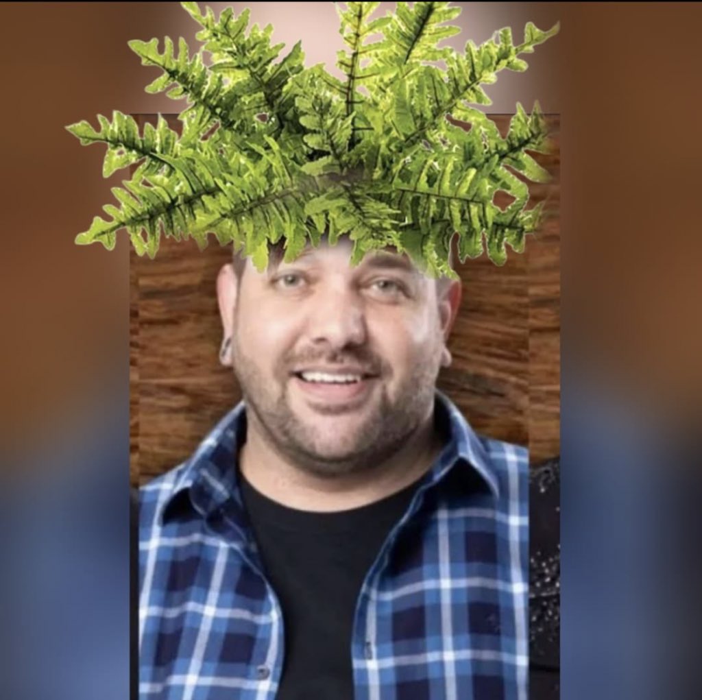 OficialDeborahA's tweet photo. Sua hora chegou COLEGA 
Chega de planta; ainda mais do mal 
Quem é #ForaSander toca aqui 🖐️ https://t.co/0F0qLk62yP