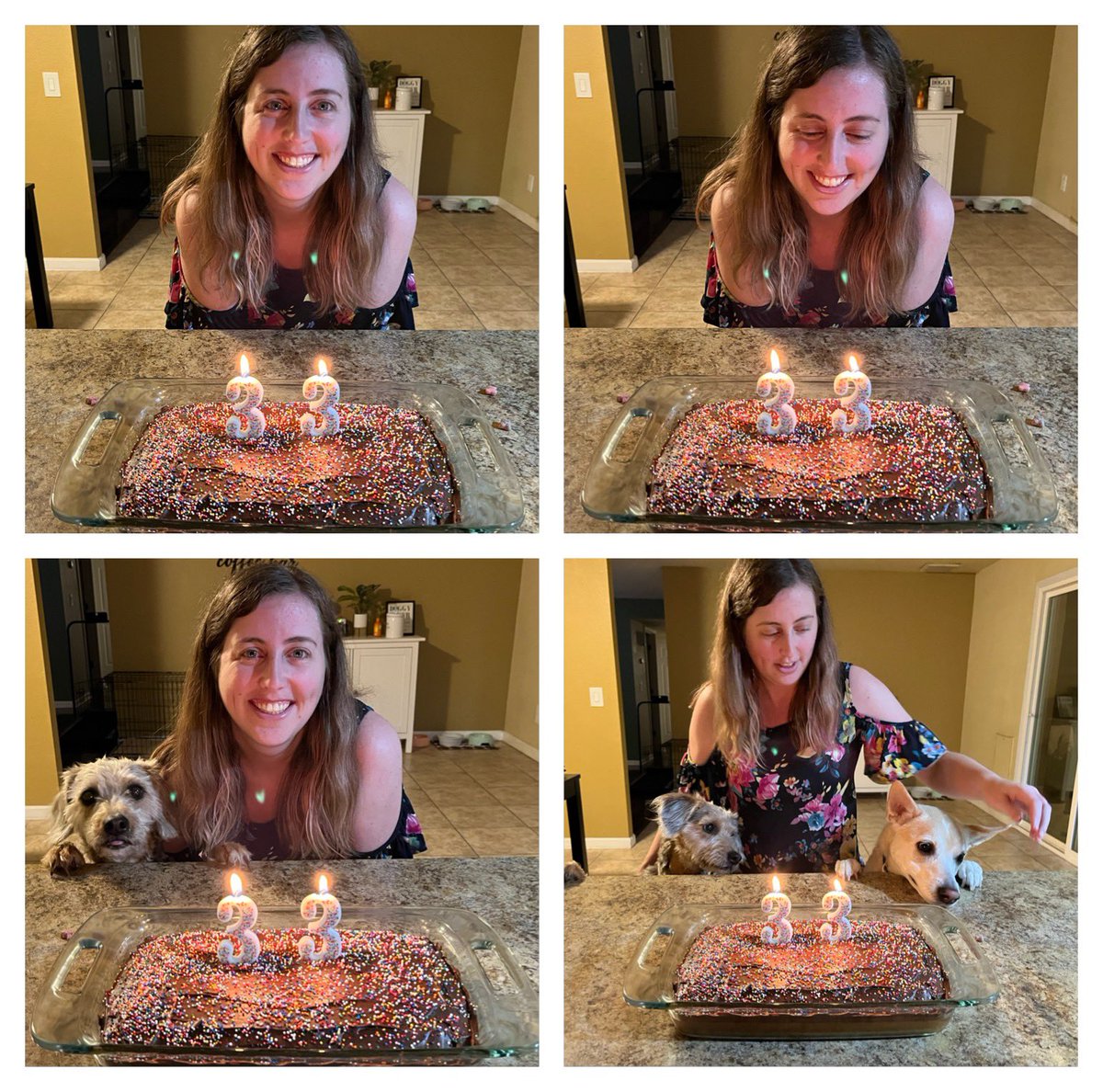 HarmonyKT tweet media