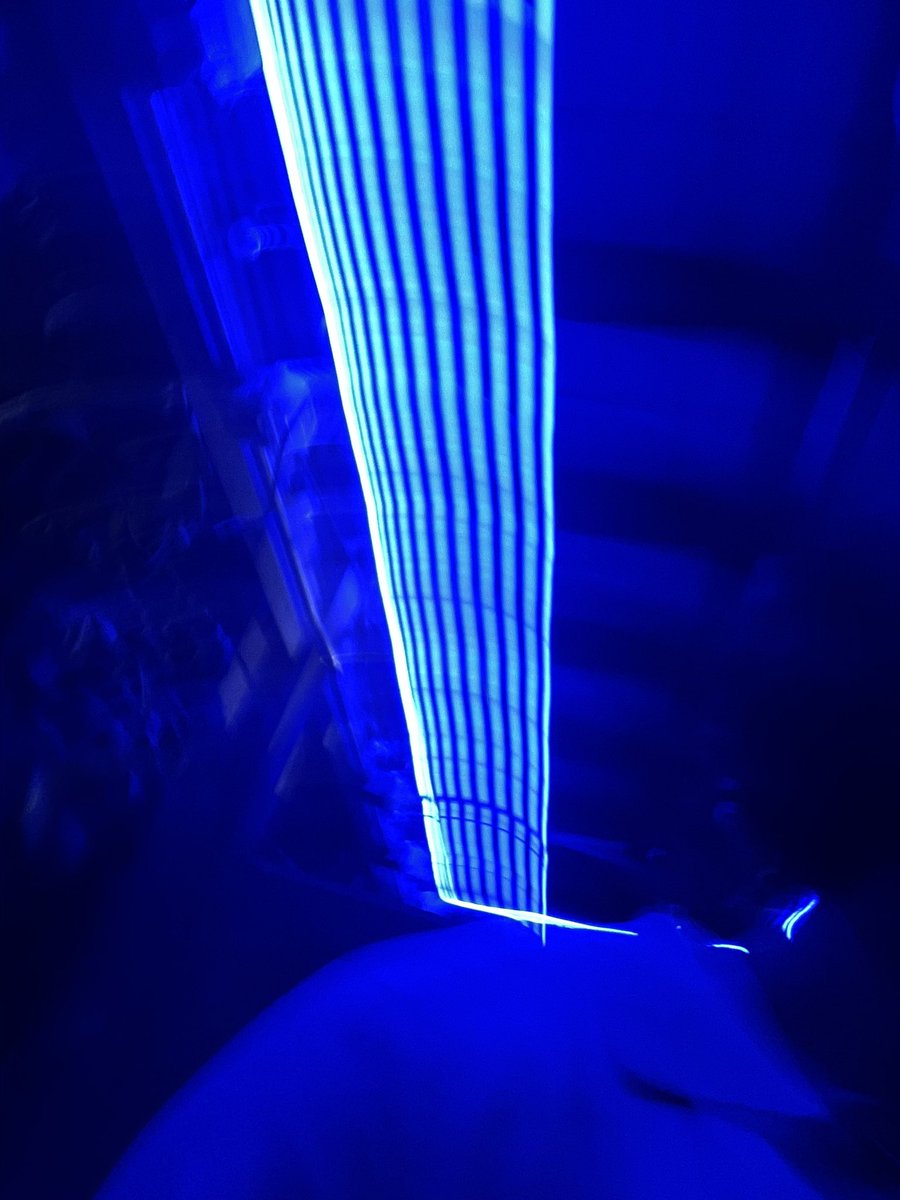 LowGentry's tweet image. 