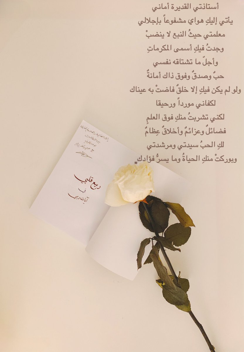 nouf tweet media