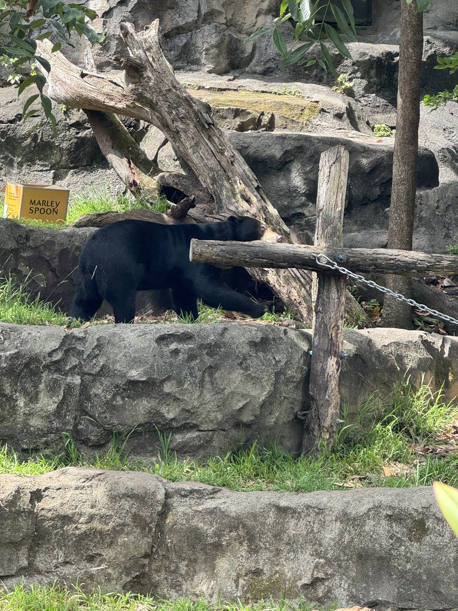 bear … <a href="/isomer/">Perry Lorier</a>