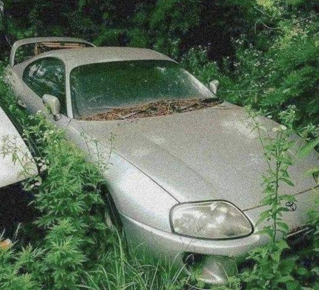 Autoass Media tweet media