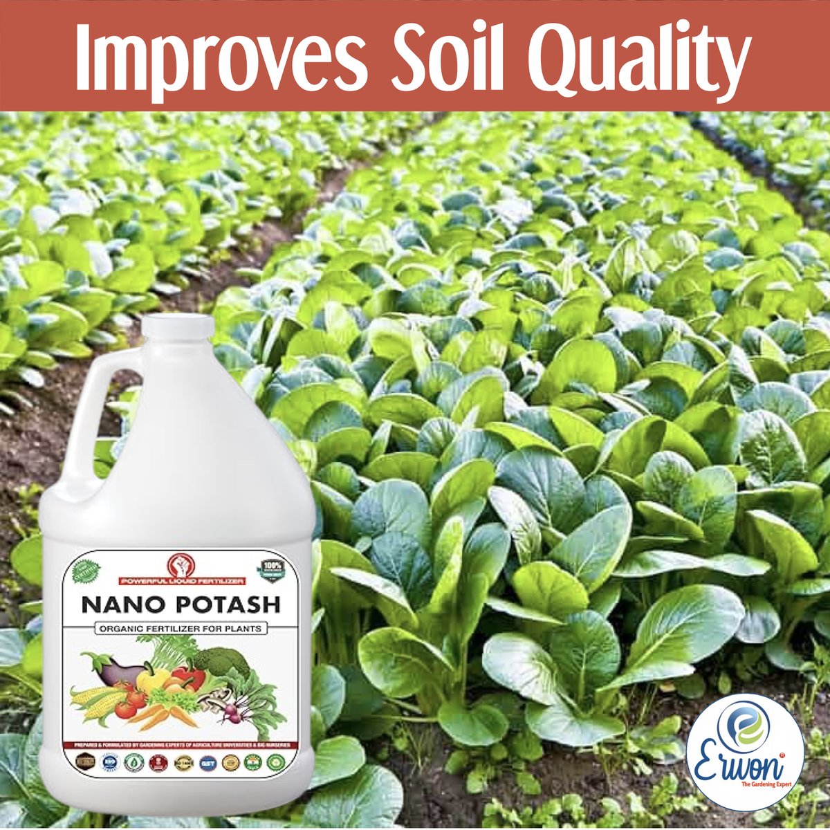 green_sansar's tweet photo. Buy Now:- https://t.co/AaSIegarsv
Erwon Nano Potash Organic Liquid Fertilizer Essential for Overall Growth of Plants. 
#erwon #Nanopotash #organicpotash #liquidpotash https://t.co/1bXZuC9I1R