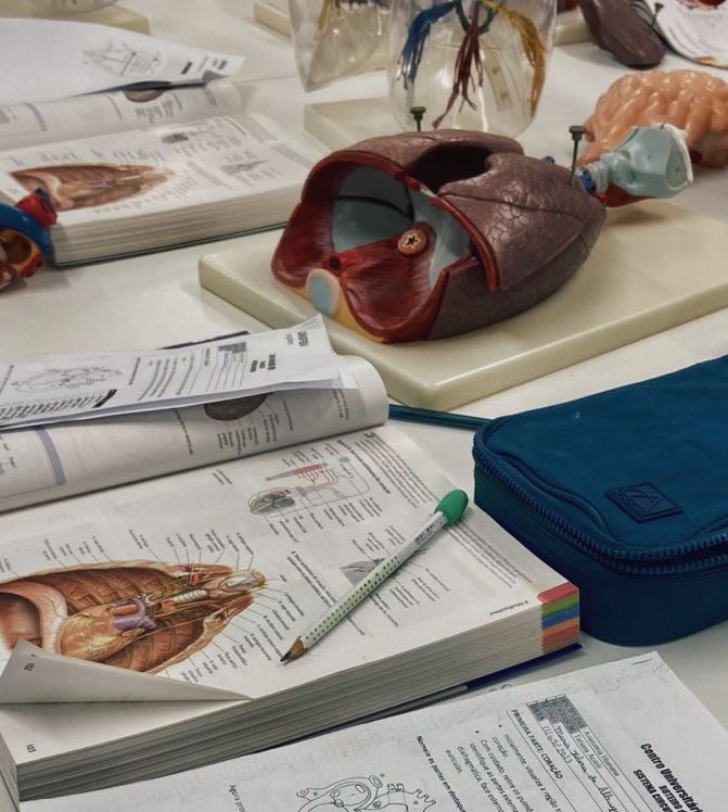 medbybru's tweet image. oii, gentel! sou a bruna, 19 anos, e estou tentando sobreviver ao 3º ano do ensino médio. 
- tenho um caso sério de paixão por medicina desde os quatro anos, embora ainda esteja decidindo se mantenho esse rumo. 
- meu foco está no ENEM
- UFRN/UERN/UFERSA/UFCG
#studytwtbr +