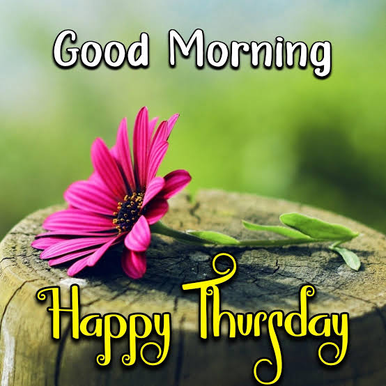 Good morning everyone!🌷🌻🪻

Beautiful moments can be created when you stay positive and distance yourself from negativity. 

Have a blessed Thursday morning and enjoy the rest of your day.

#KissesDelavin
<a href="/KissesDelavin/">Kisses Delavin</a>