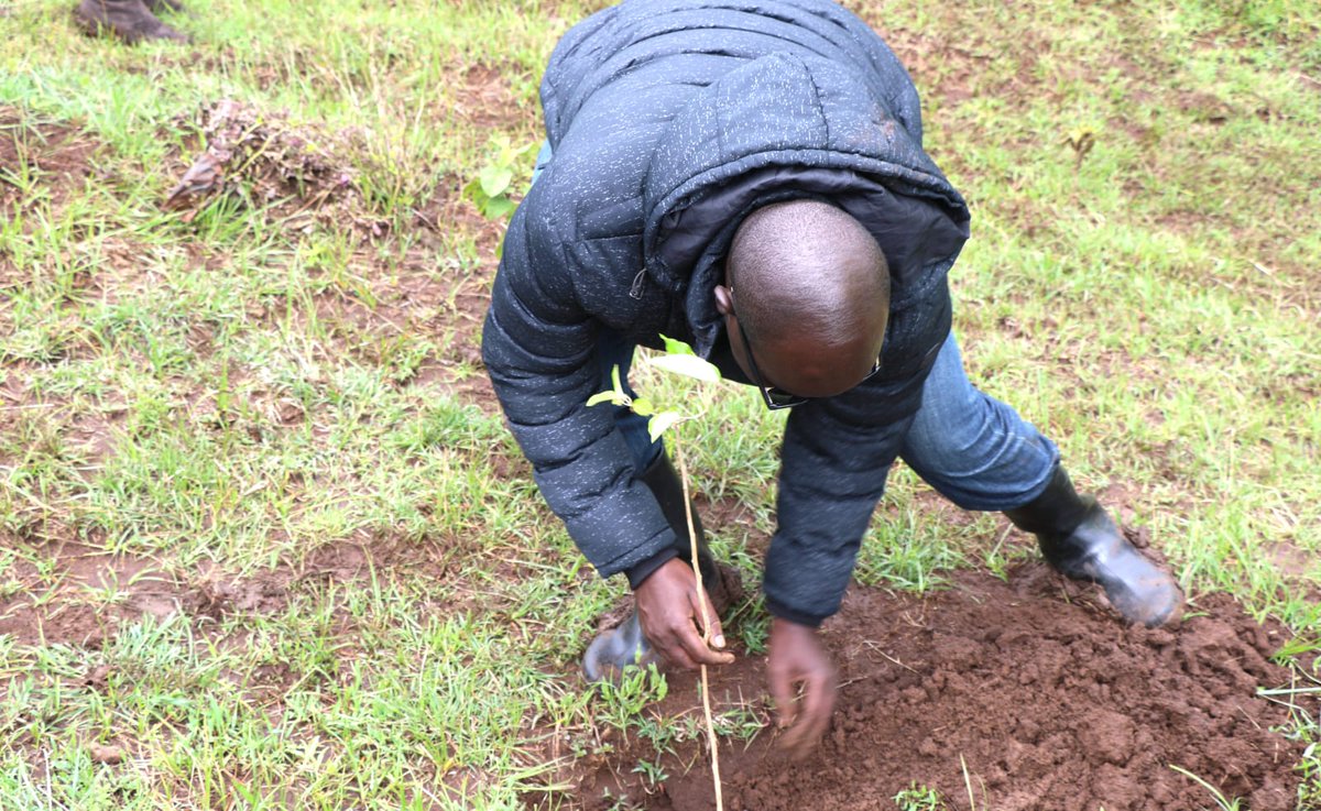 ProfOdote's tweet photo. This week was not only about #nationaltreeplanting; it was also about sowing hope for a greener future. Making the world a better place for our offspring and the generations to come. https://t.co/Zg9kDYyy0J