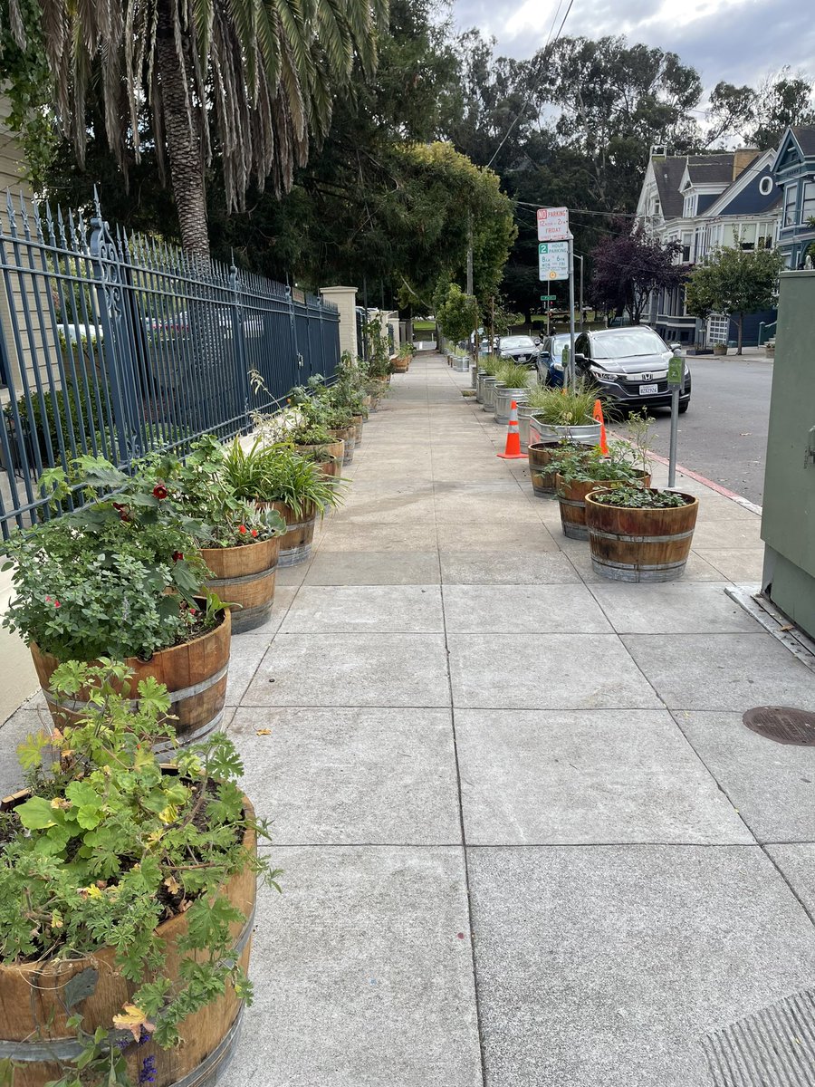 This street in SF had multiple homeless camps on the sidewalk and they just filled it with plants.

Genuine question, where did they send  all the homeless people to? This happened almost overnight.