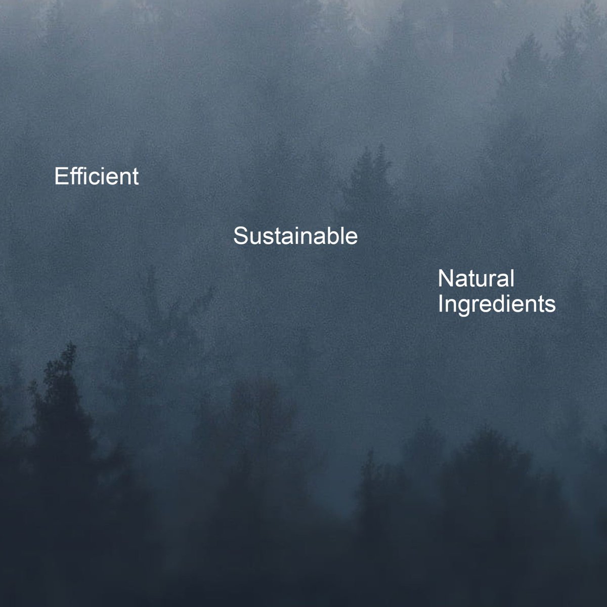 avanatural's tweet photo. Come on, join AVA and discover our range of natural Home Living products. With these natural-based products, we are moving towards a better life together. https://t.co/bxkqlULNJI