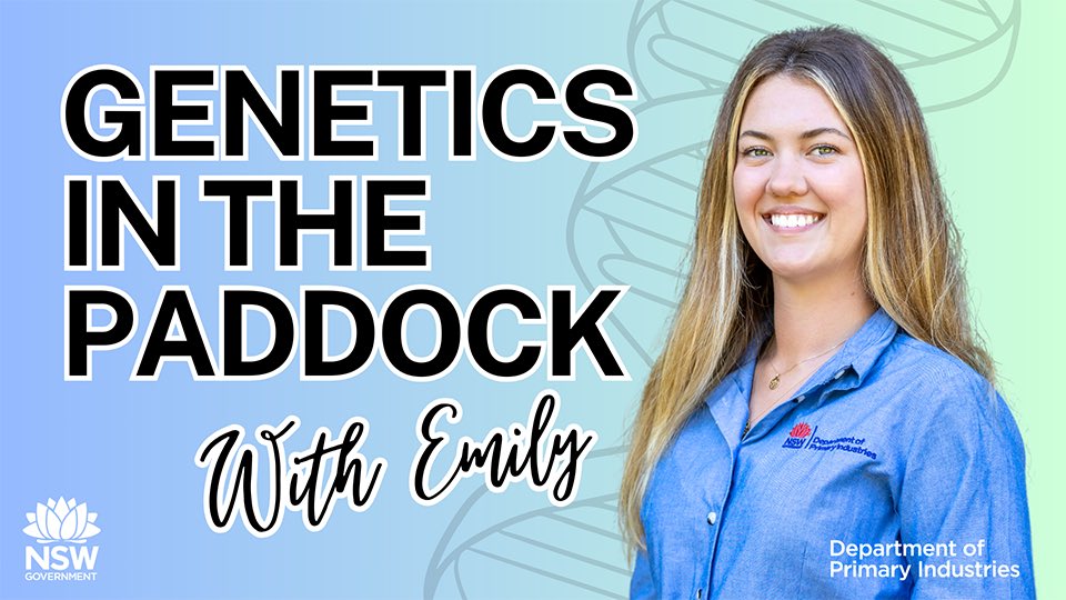 Check out this new genetics podcast from @nswdpi . youtube.com/playlist?list=… The first three episodes feature AGBU scientists David Johnston, Andrew Swan and Daniel Brown respectively with Emily Johnston hosting.