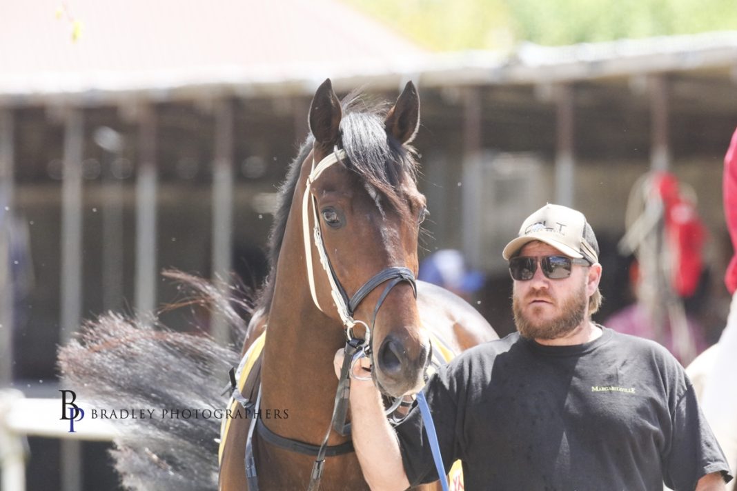 “It’s a really good run, and I can’t complain, and now the hardest bit is keeping it going.”

Just over two years ago, Colt Prosser was dealing with the NSW flood crisis, with his horses lucky to survive the disaster. 

Fast-forward to the present day and the Wauchope trainer has