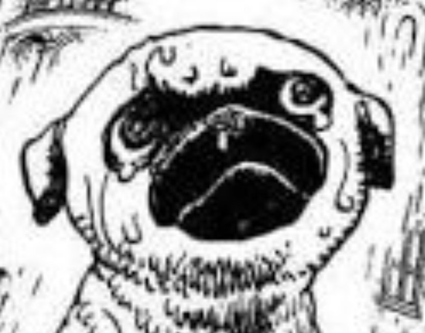 ทะเลนี้ไม่ใช่ที่เล่นของเด็กๆที่ไม่เตรียมตัวเตรียมใจ พวกอ่อนแอไม่สามารถเอาตัวรอดที่นี่ได้ ไม่ว่าจะทำอะไรการหักหลังกันเพื่อเหยียบอีกฝ่ายขึ้นสู่จุดสูงสุดก็เป็นเรื่องปกติของโจรสลัด ความเชื่อใจเป็นสิ่งที่ไม่จำเป็นเลยสักนิดสำหรับโล