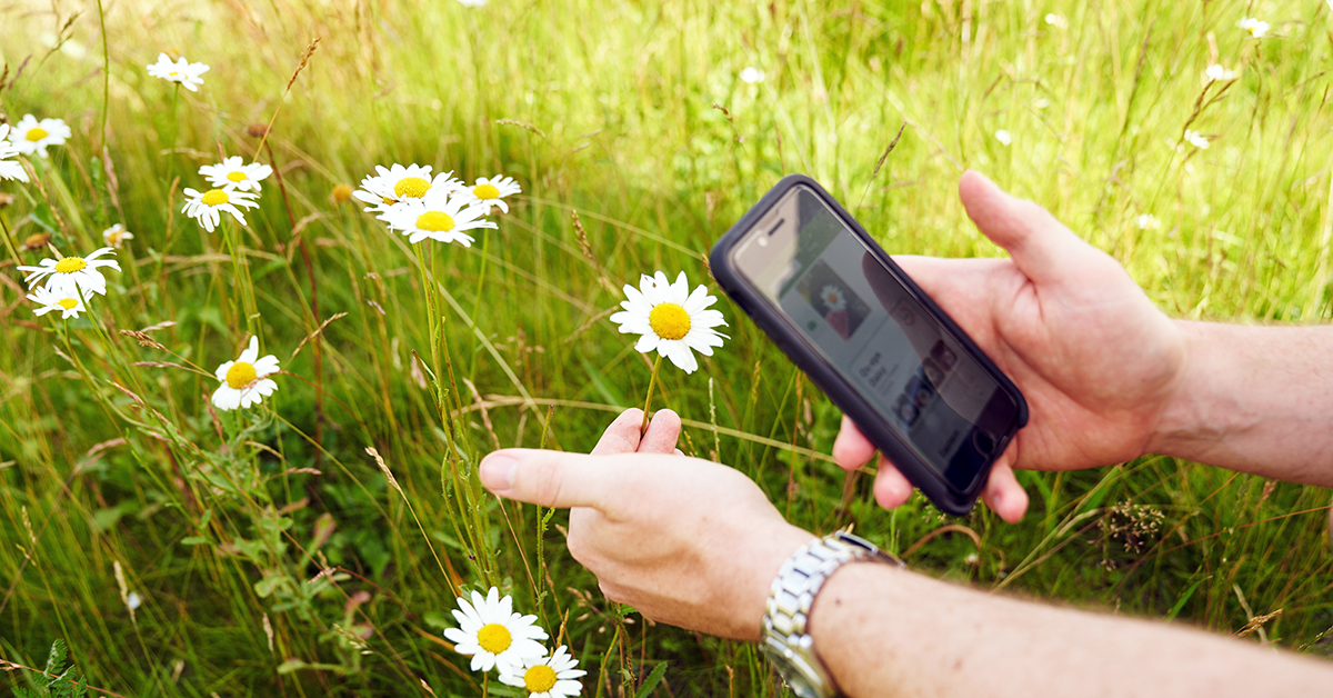 📢 #CitizenScience coordinators! Tell us about your #CitSci activities that collect #biodiversity or agricultural productivity data, for a UKCEH/@NaturalEngland project to map UK citizen science 🌻🐝🌱📲 >> ceh-online-surveys.onlinesurveys.ac.uk/citizen-scienc… 1/