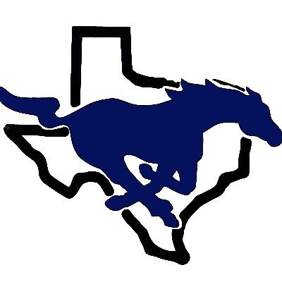 Texas HS Sports tweet media