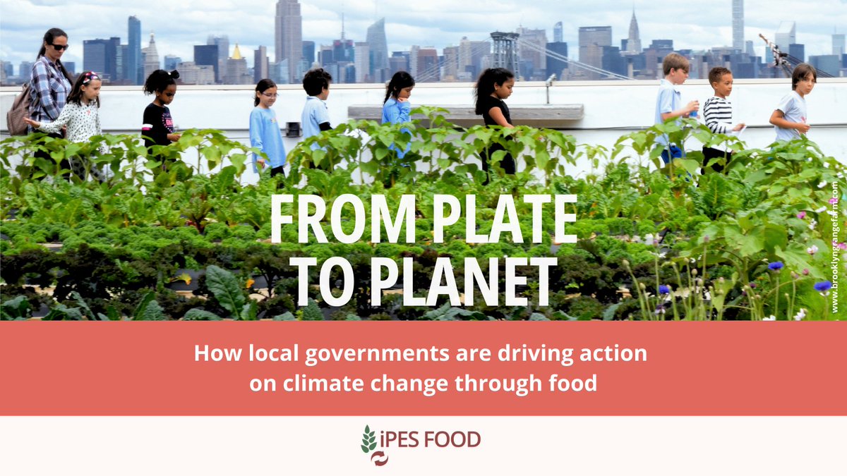 IPESfood's tweet photo. 🔴NEW REPORT!

🏙️Cities &amp; regions are leading the way on real food &amp; #ClimateAction. But national governments are lagging, &amp; need to take inspiration from them to harness the emissions-cutting potential of #foodsystems transformation!🍽️🌍
💡https://t.co/AYorDQ2lTB
#ActionOnFood https://t.co/motSaMTOtE