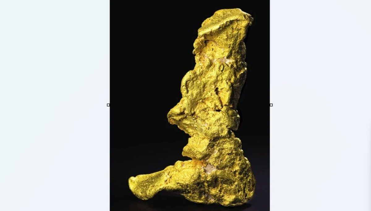 The largest gold nugget in the world 👀😮 The Boot of Cortez is a 97.14 kg nugget and was discovered by an amateur treasure hunter in Mexico in 1989. He purchased an entry-level metal detector at a local Radio Shack and ventured out into the forbidding Sonoran Desert.