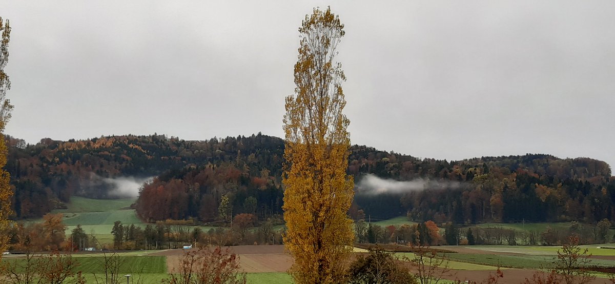 Es Näbuschwädeli. Hoi.