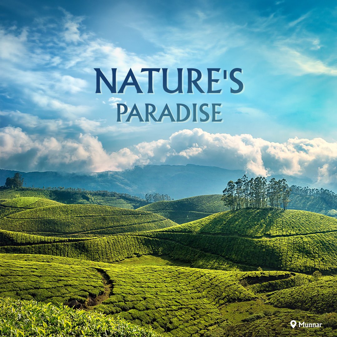 HideawaysIndia's tweet photo. Let Luxury Hideaways take you on a captivating journey to the misty wonderland of Munnar, nestled amidst the lush Western Ghats of Kerala and a pretty ride away from Cochin. https://t.co/2b8awWcqKj