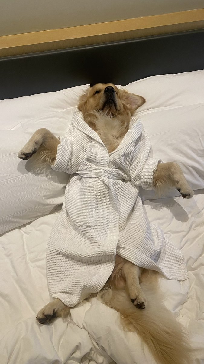 oscarspawpaw's tweet photo. Diwali vacation be like 😅 https://t.co/xADL0T7Vxd