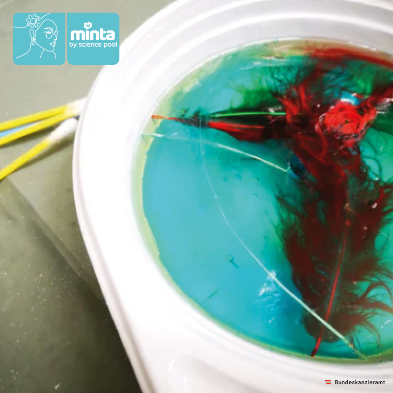 SciencepoolVwV's tweet photo. Immer wieder hört man in von Unfällen, bei denen riesige Mengen an Öl ins Meer gelangen und so die Umwelt gefährden. Um besser zu verstehen, gingen wir diese Woche in den MINTA-Clubs mit dem Experiment "ÖL-Katastrophe"  den Dingen auf den Grund. #MINTA #STEM #UMWELTSCHUTZ https://t.co/70HsJHgQzu