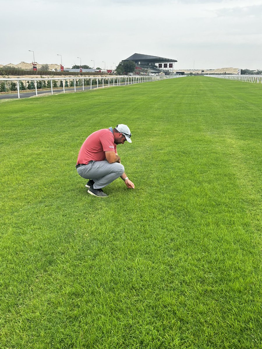 Jamie Faulkner tweet media