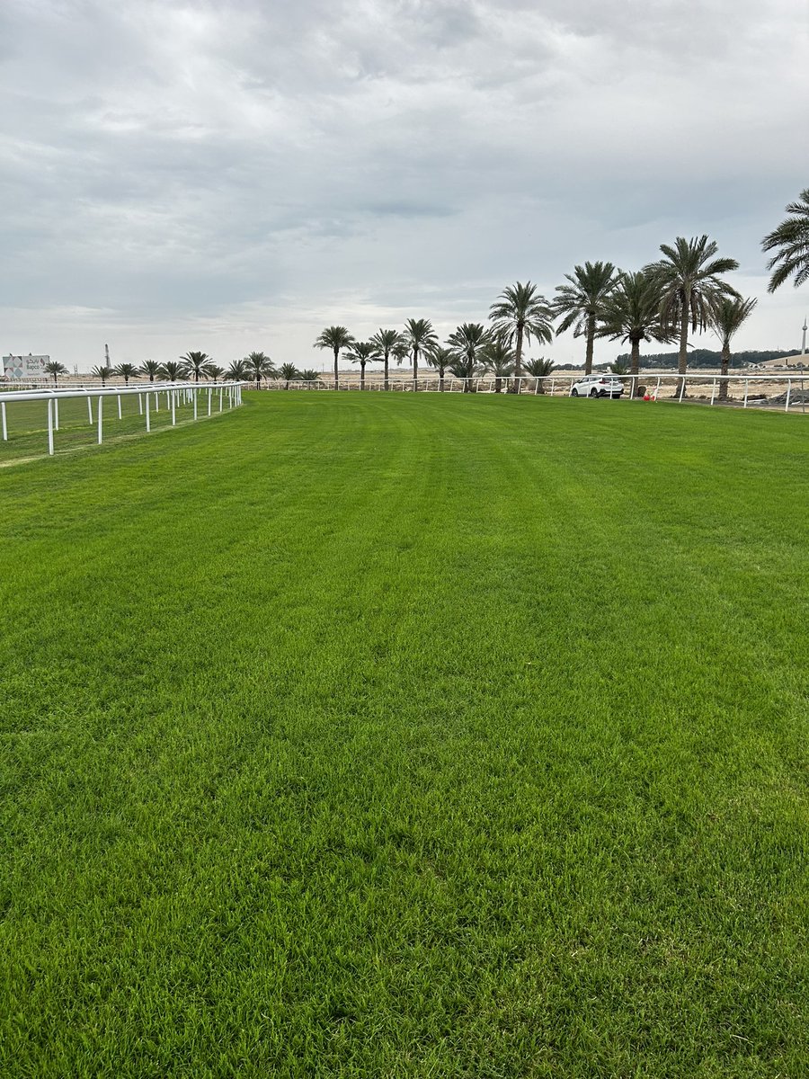 Jamie Faulkner tweet media