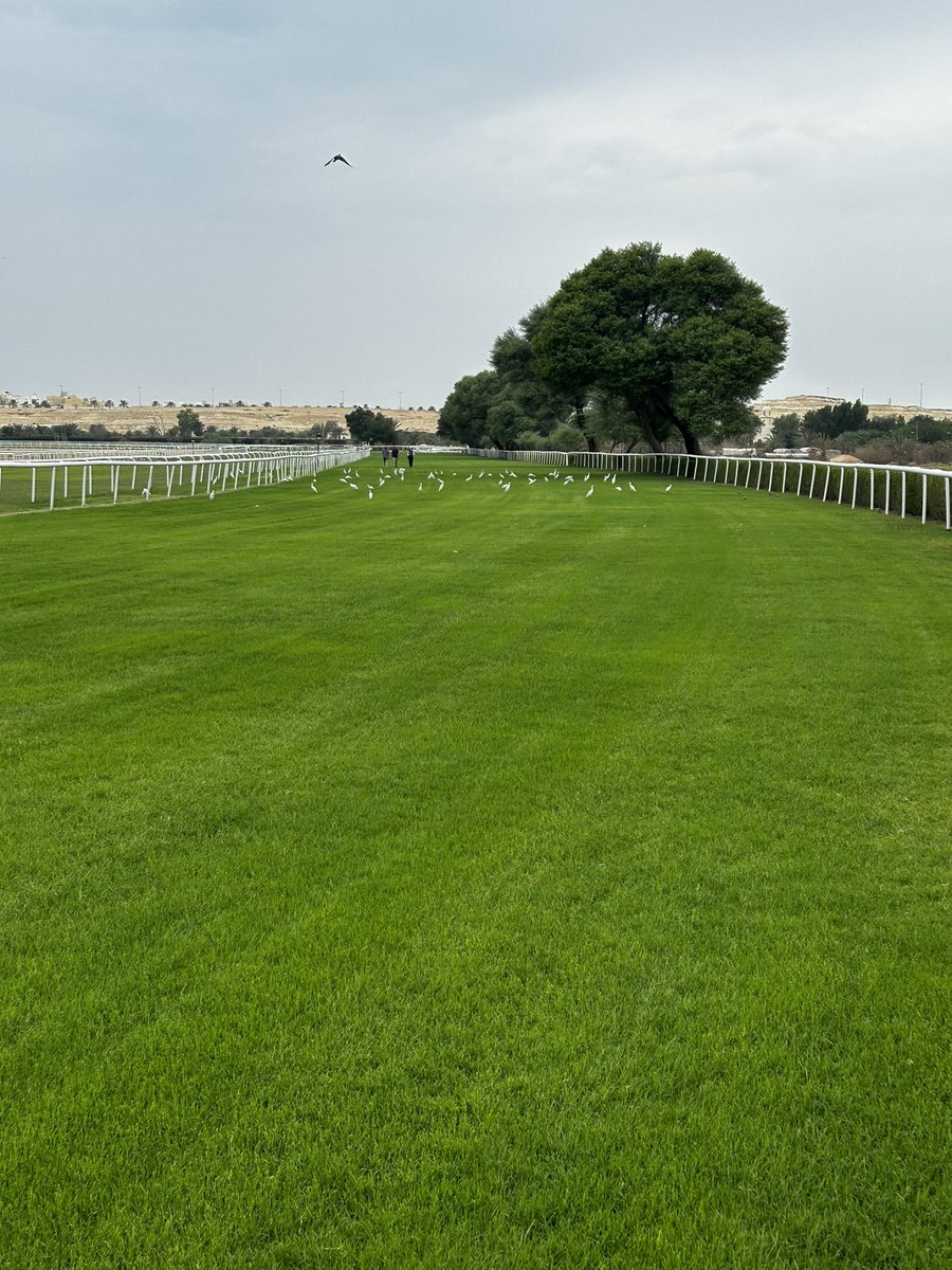 Jamie Faulkner tweet media