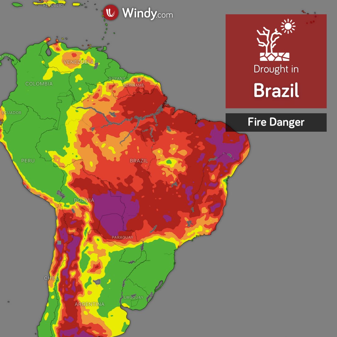 #Brazil🇧🇷 is facing an unprecedented #drought that has dire consequences for its people, economy, and wildlife. 🌳 💧 The Amazon, which holds 20% of the planet's freshwater, sees rivers at record lows caused by #ElNino. 🤝See the drought monitoring maps on Windy made in great…