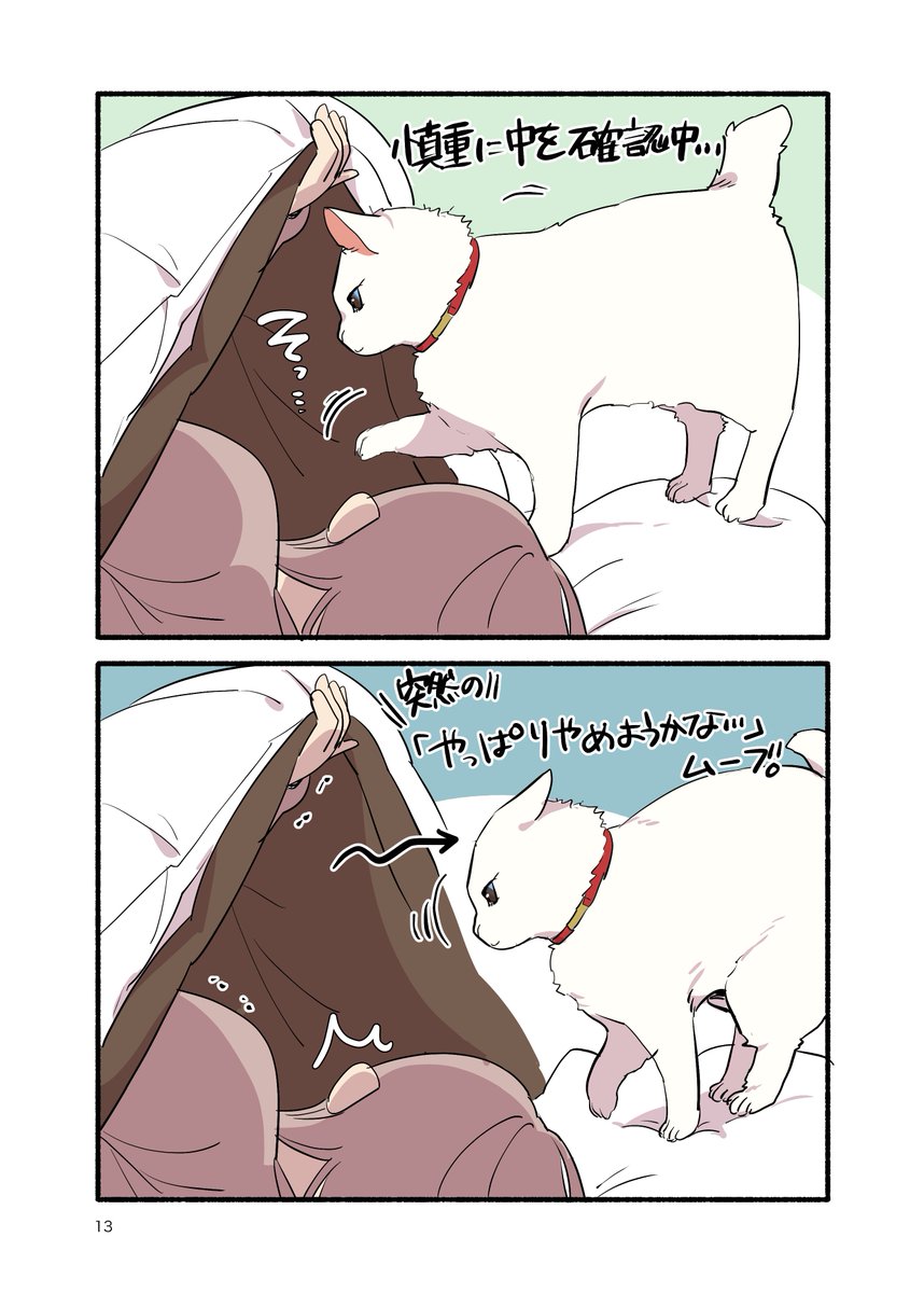 冬と猫と朝の話(2/2) #愛されたがりの白猫ミコさん #漫画が読めるハッシュタグ