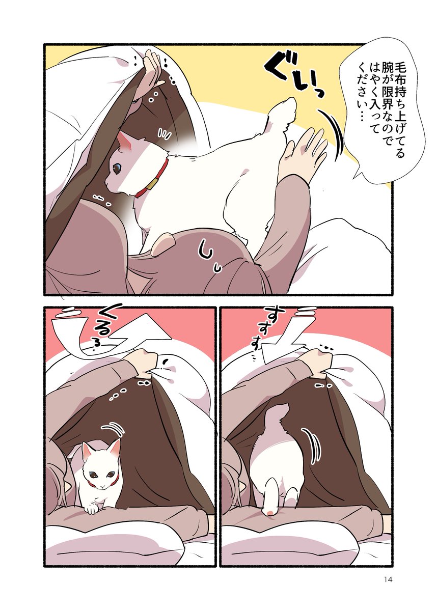 冬と猫と朝の話(2/2) #愛されたがりの白猫ミコさん #漫画が読めるハッシュタグ