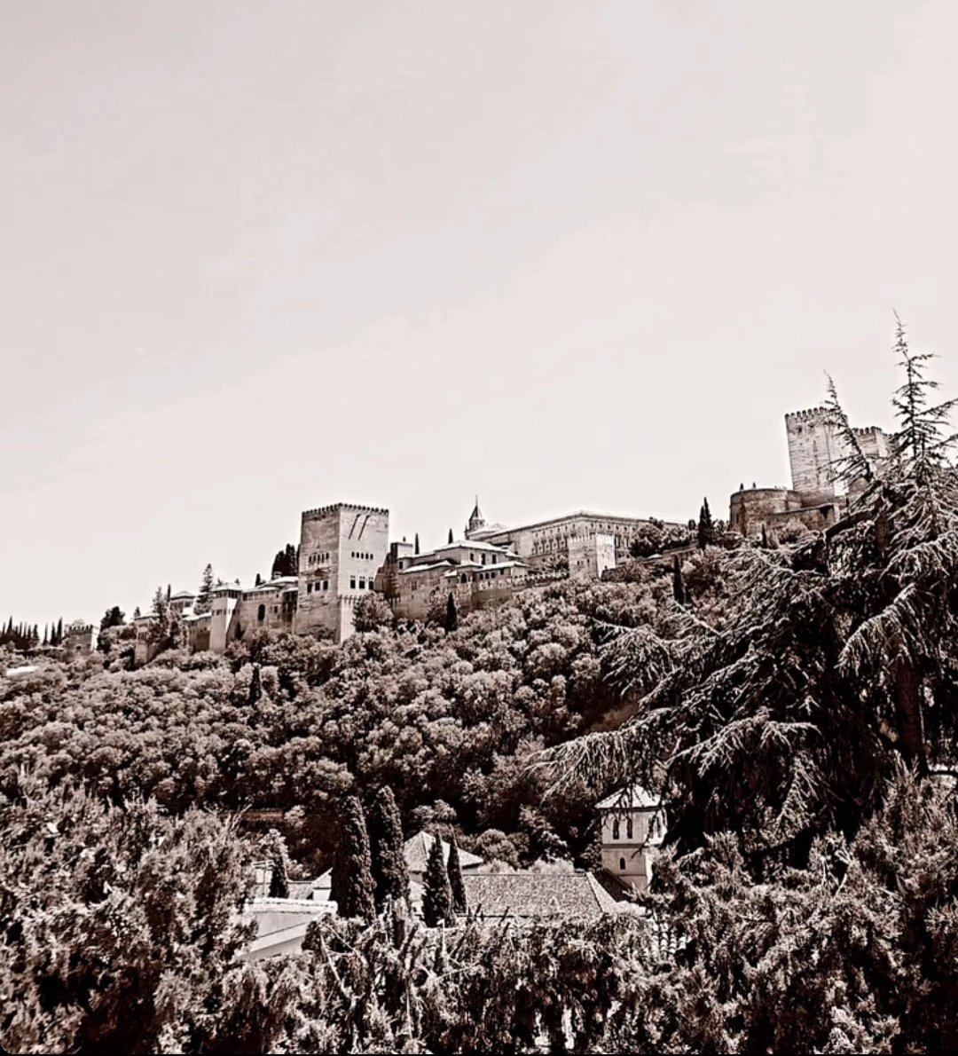 #DiaInternacionalPatrimonioMundial
2023 🎉🎉🫶🏼🫶🏼